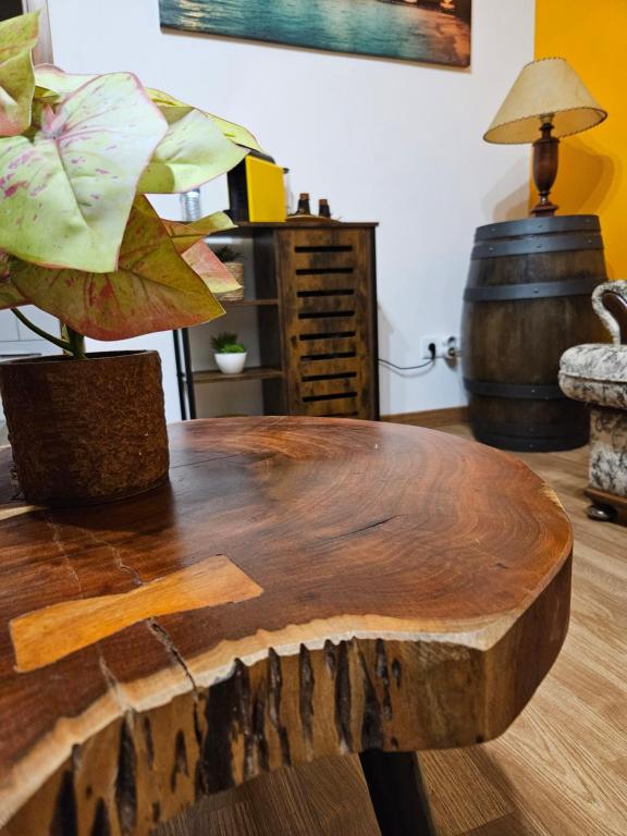 Fotografie z fotogalerie ubytování Casinha da Ladeira 3360 v destinaci Penacova