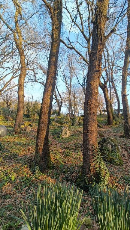 Zahrada ubytování B&B Il Fiore nel Bosco