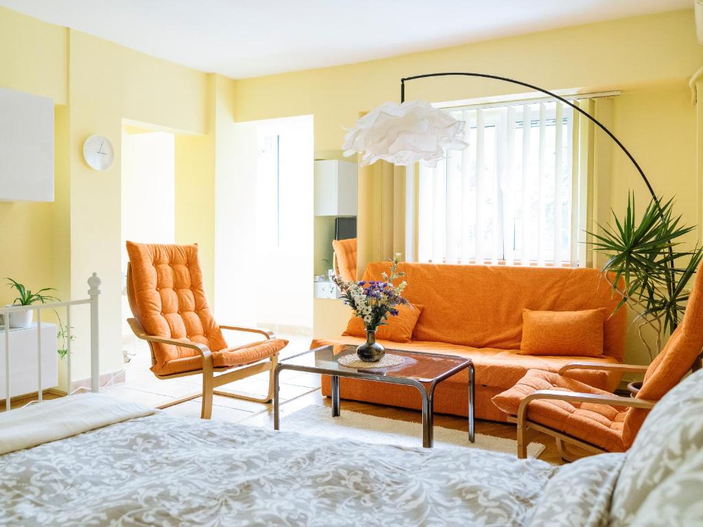 Et opholdsområde på Herastrau Park Studio - Bucharest Business District - Arancia