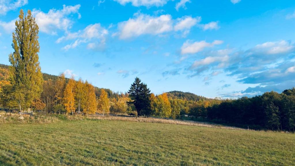 Agroturystyka Dom pod Kalenicą - Suite Apartment