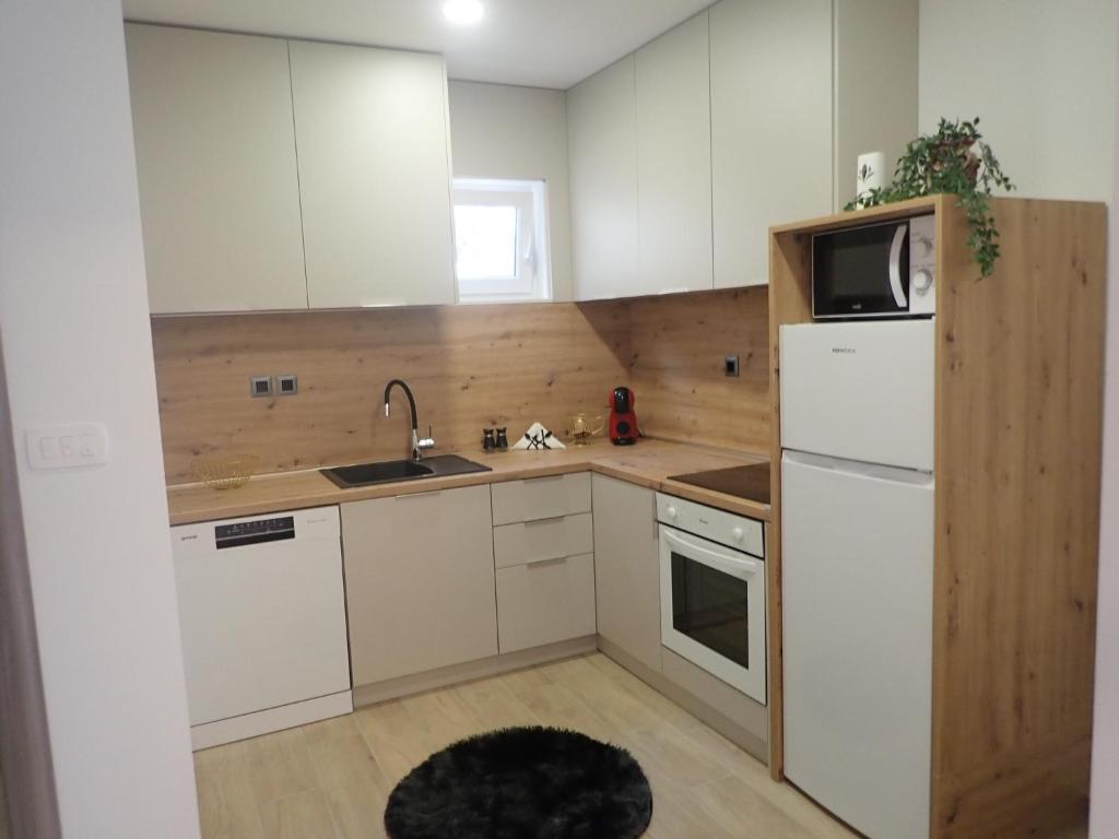 Kuchyňa alebo kuchynka v ubytovaní Apartmani NIL