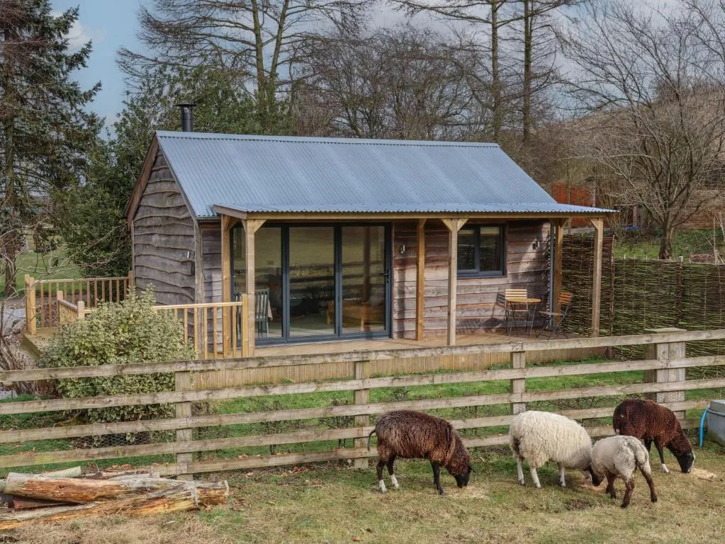 Beech Tree Cabin