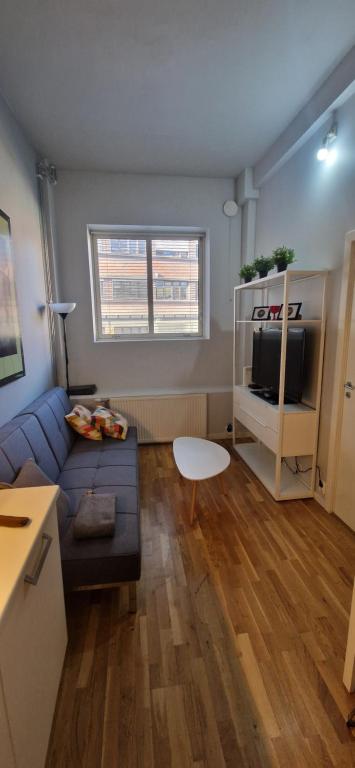 TV/trung tâm giải trí tại Nice 1 bedroom apartment in Oslo Sentrum