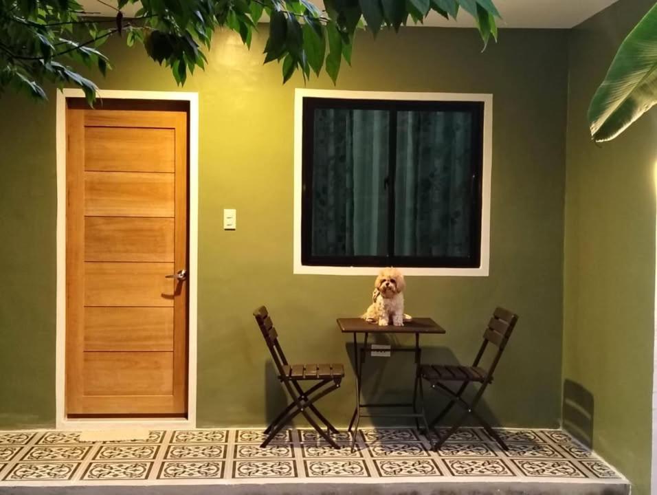 Fotografie z fotogalerie ubytování GREENSPACE v destinaci Panglao