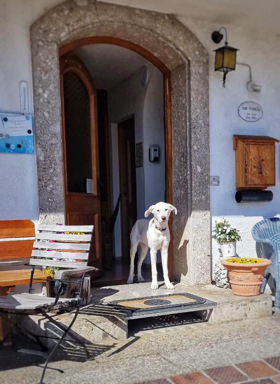 Pension Maria - Housity