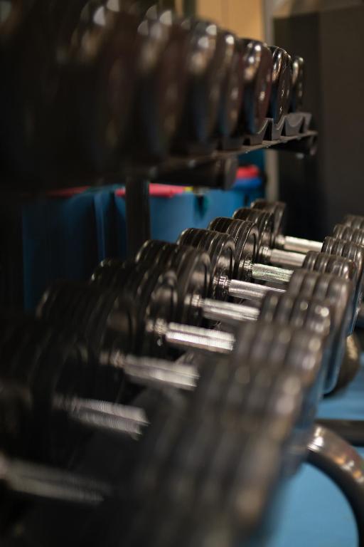 Fitness centrum a/nebo fitness zařízení v ubytování Avec Hotel