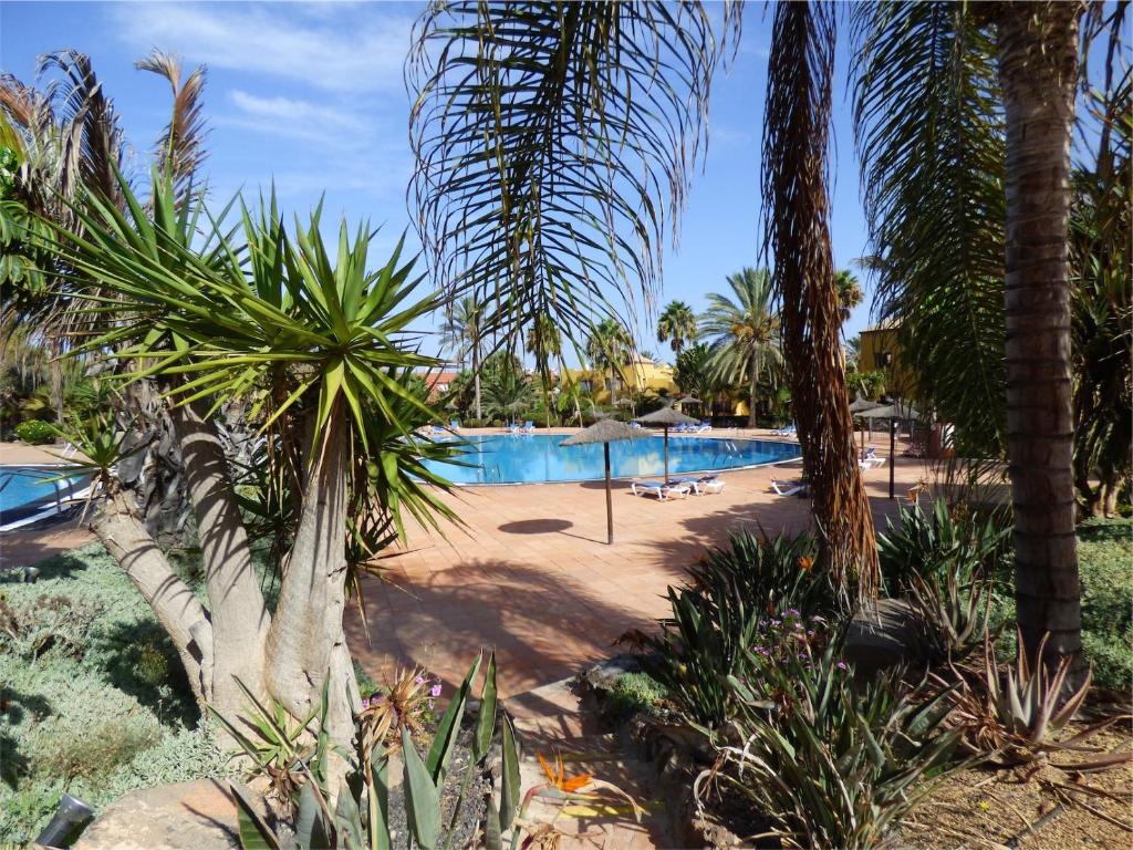 コラレホにあるAppartamento privato Oasis Tamarindoのヤシの木が茂るスイミングプール付きのリゾート