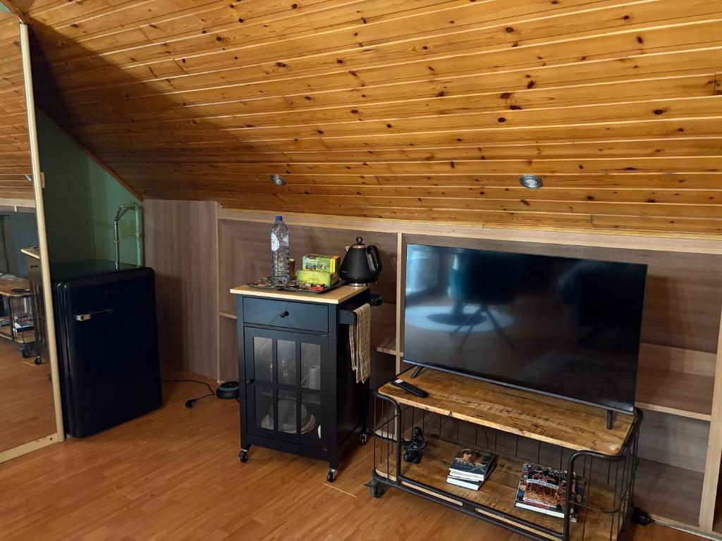 TV a/nebo společenská místnost v ubytování Efes home