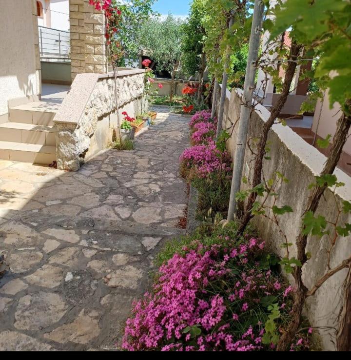 Zahrada ubytování Apartments Sava