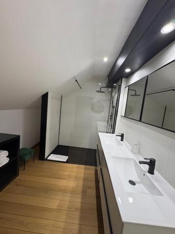 Koupelna v ubytování Le Tri Renard Spa