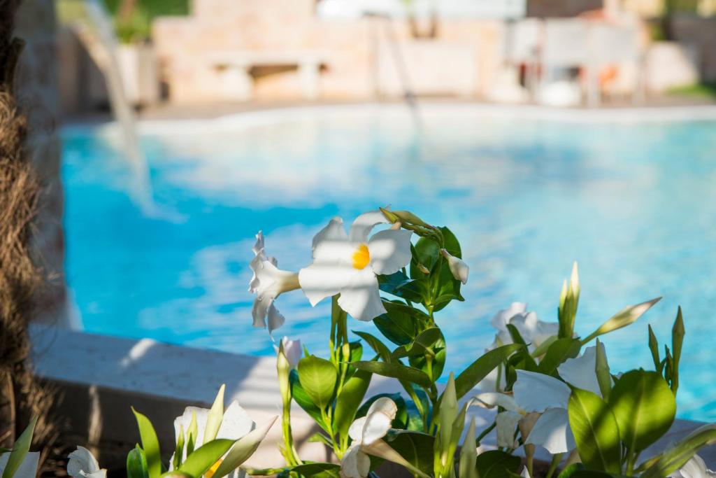 Bazén v ubytování Hotel Eden Garda nebo v jeho okolí
