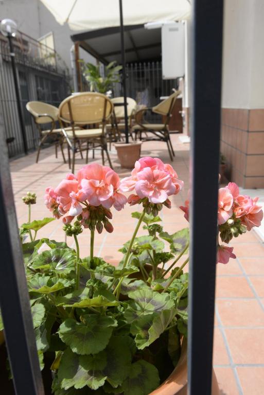 Vonkajšia záhrada v ubytovaní B&B San Leonardo