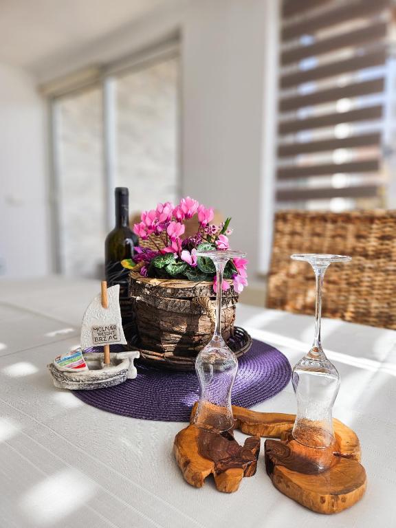 Nápoje v ubytování Molnar Resort Villa Mimoza & Apartment Nea