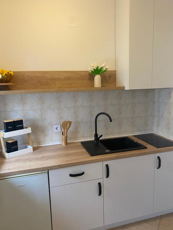 Apartments Gera - 15