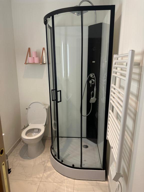 une cabine de douche dans une salle de bain avec toilettes dans l'établissement Studio avec terrasse, à Avignon