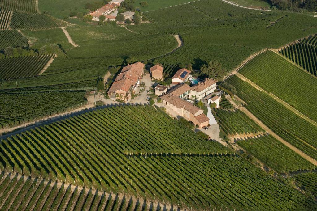 an aerial view of a house in a vineyard at Palas Cerequio in La Morra