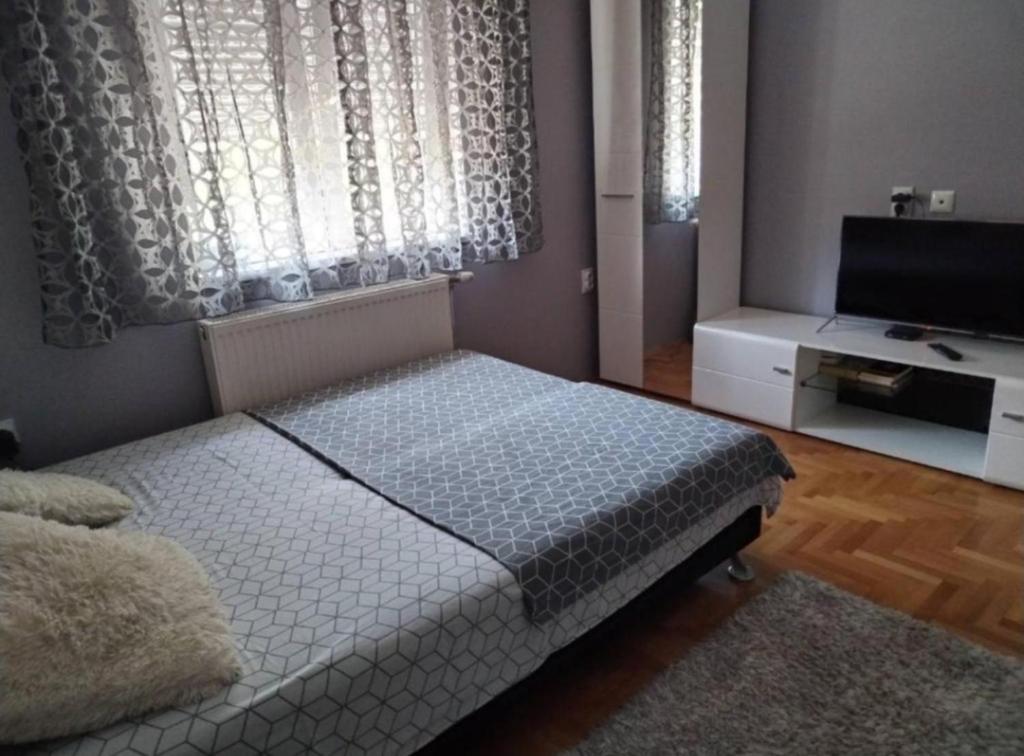 a bedroom with a bed and a flat screen tv at Tea in Niš
