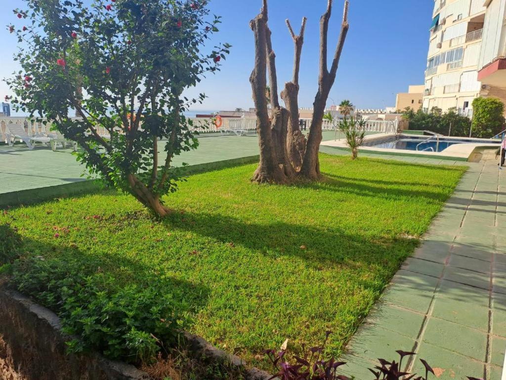 Zahrada ubytování Seaview Retreat Torremolinos City Center, with pool and amazing views BY NAMASTE ELITE