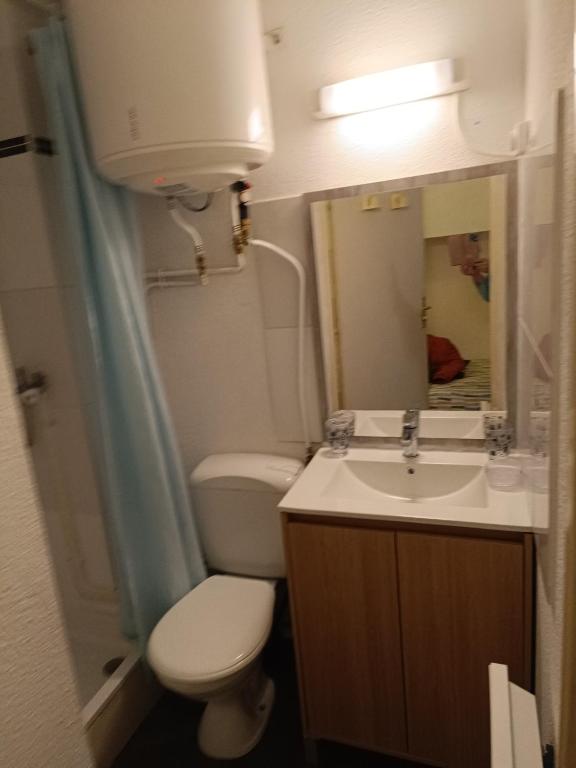 une salle de bain avec toilettes, lavabo et miroir dans l'établissement Studio 19m2 rez-de-chaussé, à Lamalou-les-Bains
