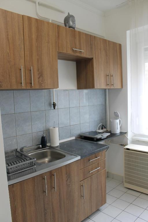 Kuchyň nebo kuchyňský kout v ubytování Fecske Apartman