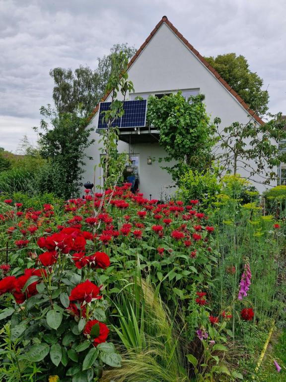 a garden with red flowers in front of a house at Ferienwohnung Adebar in Bechhofen