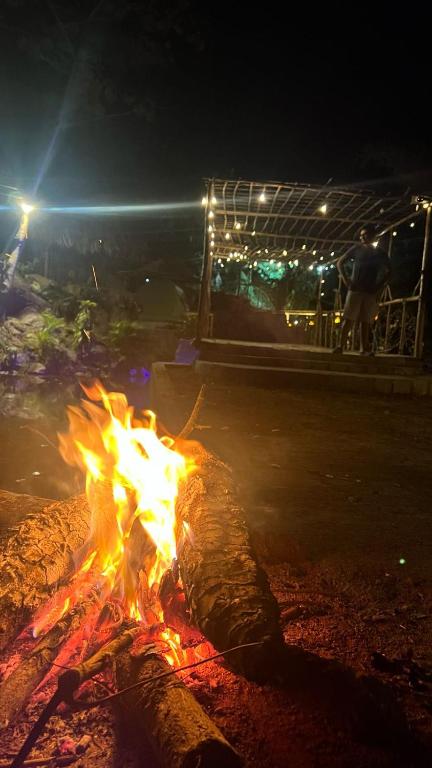 Fotografie z fotogalerie ubytování Tawaca Ecohotel v destinaci Calabazo