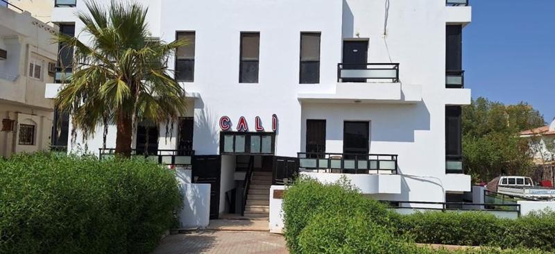 un edificio bianco con una palma di fronte di Cali Residence a Sharm El Sheikh