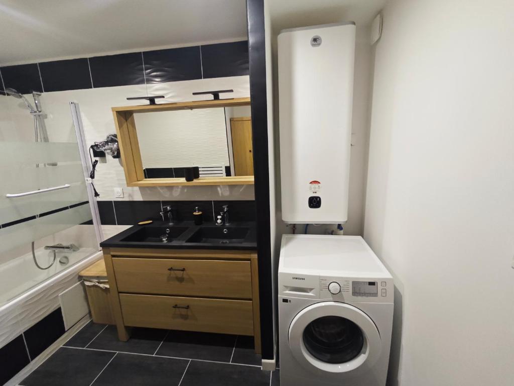 ein kleines Badezimmer mit Waschmaschine und Waschbecken in der Unterkunft Les Magnolias in Brou-sur-Chantereine