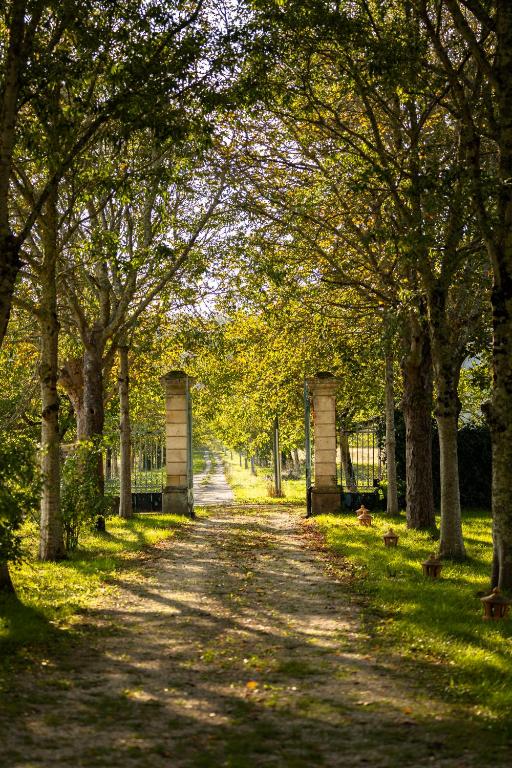 un percorso alberato con due panchine in un parco di Château la Gineste - Castle and Vineyard a Duravel