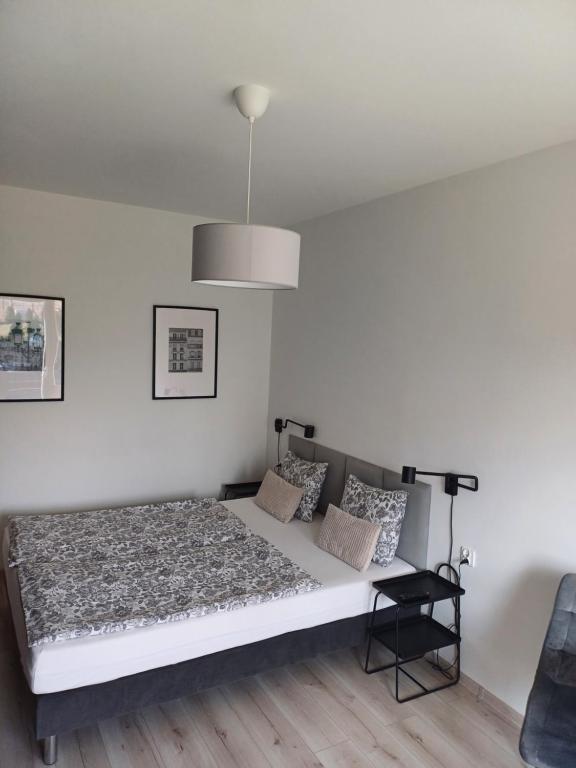 Postel nebo postele na pokoji v ubytování Śpij w Kudowie Apartament i pokoje gościnne