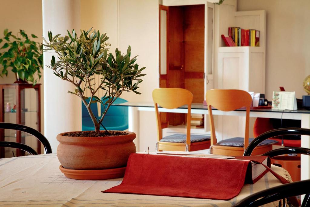 une table avec une plante en pot et deux chaises dans l'établissement Ai Quattro Ulivi B&B, à Monte Urano