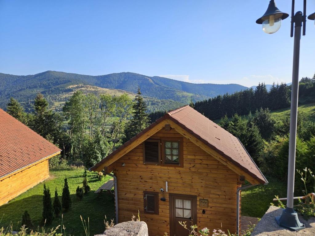 a small wooden house with a light pole and mountains at la brume des cimes in Bussang