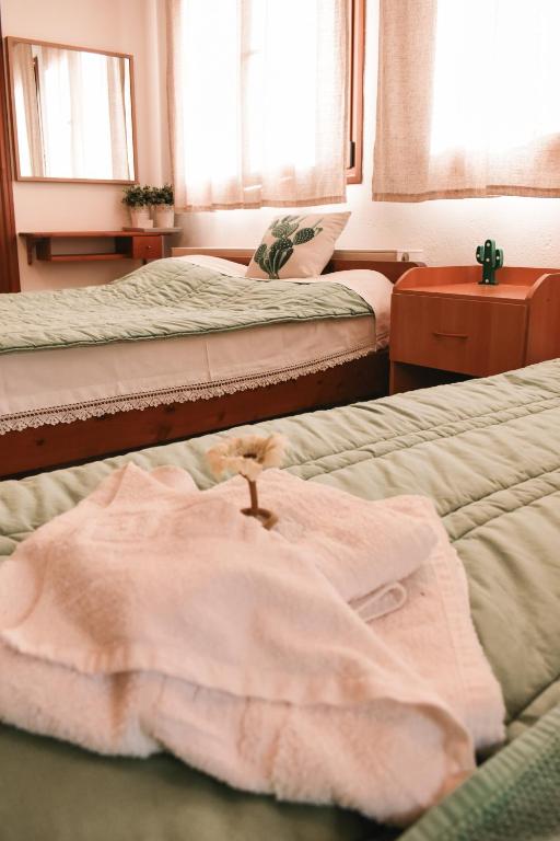 Postel nebo postele na pokoji v ubytování Cactus rooms