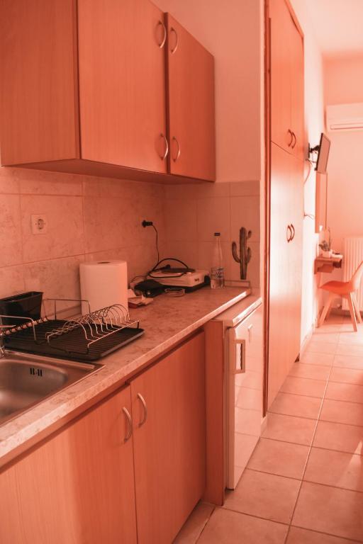 Kuchyň nebo kuchyňský kout v ubytování Cactus rooms