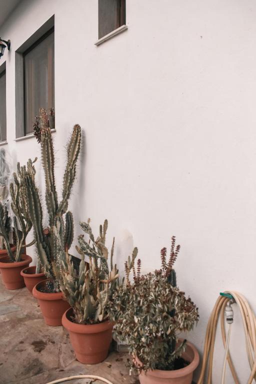 Fotografie z fotogalerie ubytování Cactus rooms v destinaci Stratónion