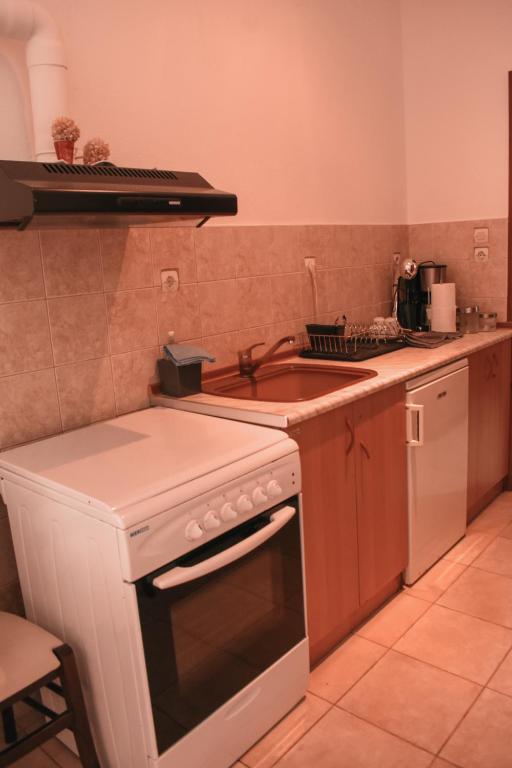 Kuchyň nebo kuchyňský kout v ubytování Cactus rooms