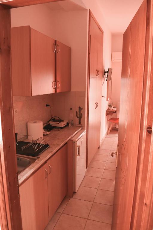 Kuchyň nebo kuchyňský kout v ubytování Cactus rooms