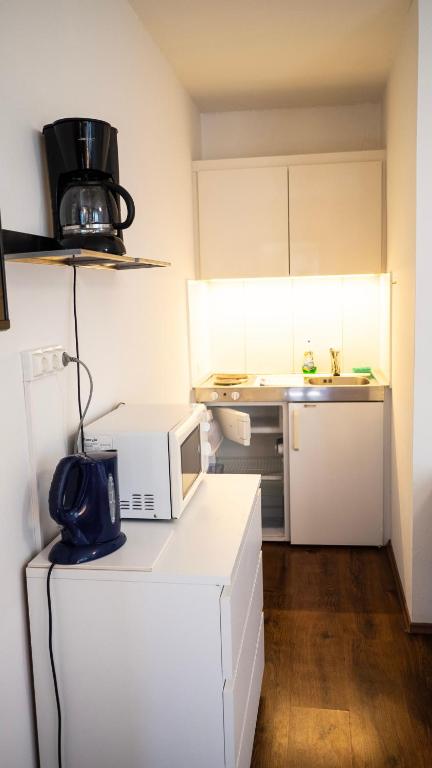 Kuchyň nebo kuchyňský kout v ubytování Hotel Villa Rückert