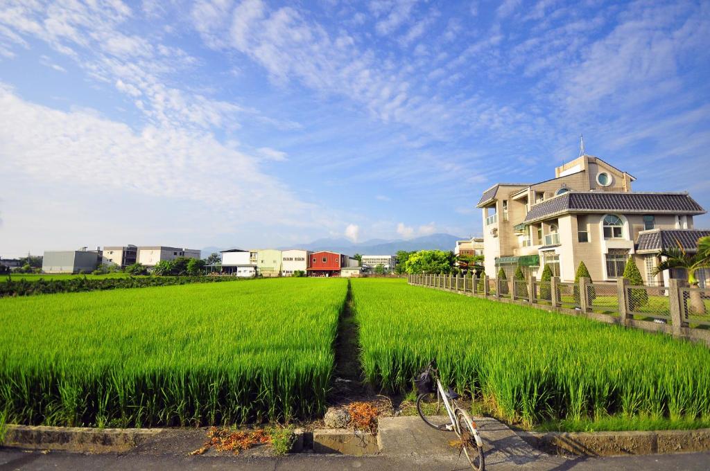 a house in a field of green rice at Happy Orange Homestay in Dongshan