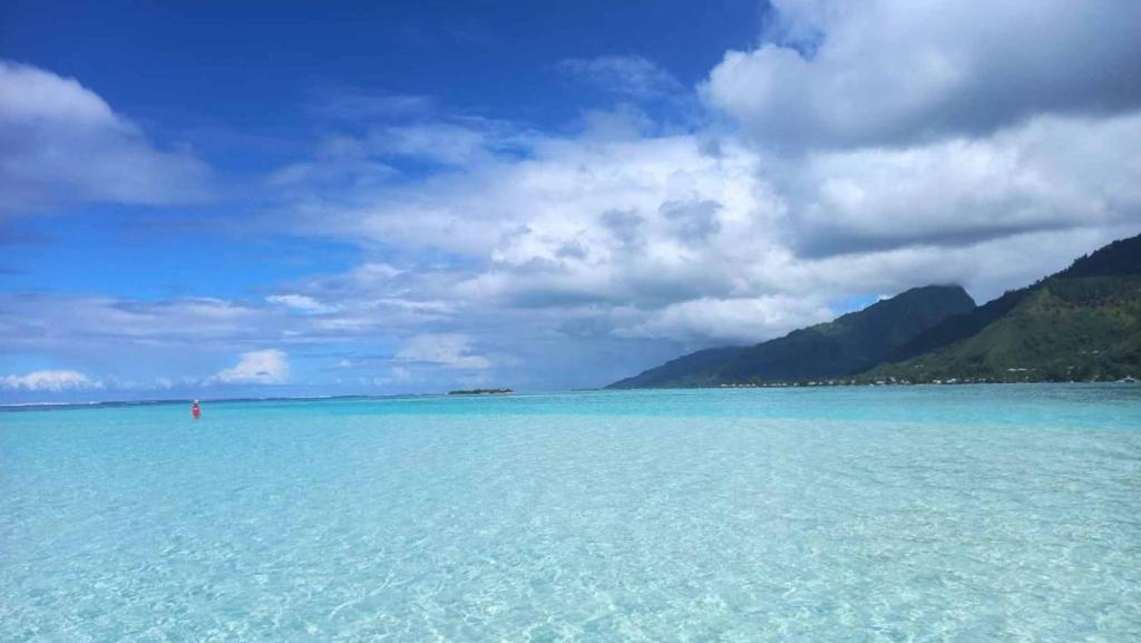 MOOREA - Bungalow Moekea Lagoon - photo 9 - Moorea, Polynésie