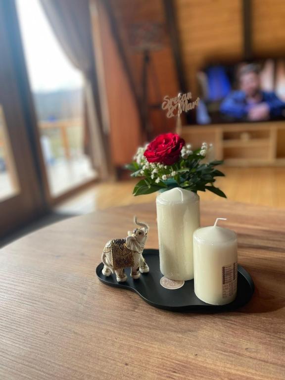 Příslušenství pro přípravu čaje a kávy v ubytování Dedin borak