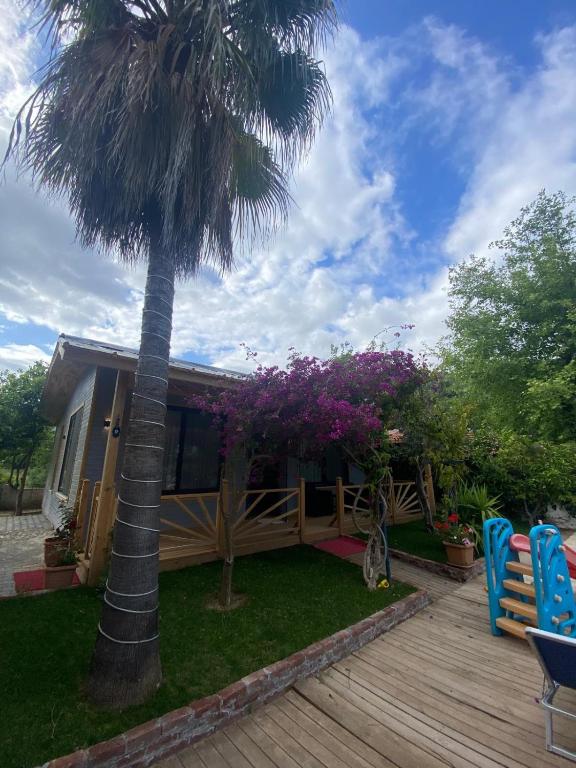 a house with a palm tree and a wooden deck at Black Cat Villa's in Kemer