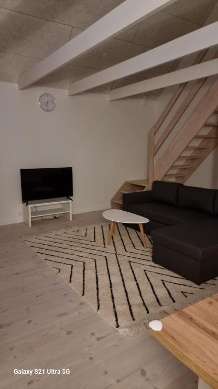 TV a/nebo společenská místnost v ubytování A charming apartment in the heart of Roskilde