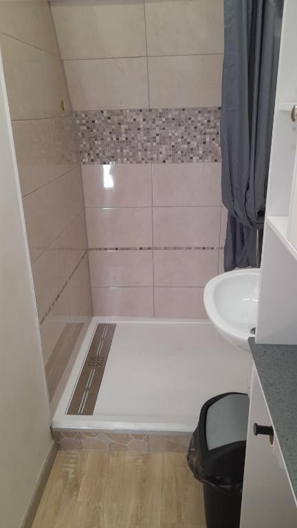 a bathroom with a shower and a sink at Chambre indépendante de la Porte du Bois in Joigny