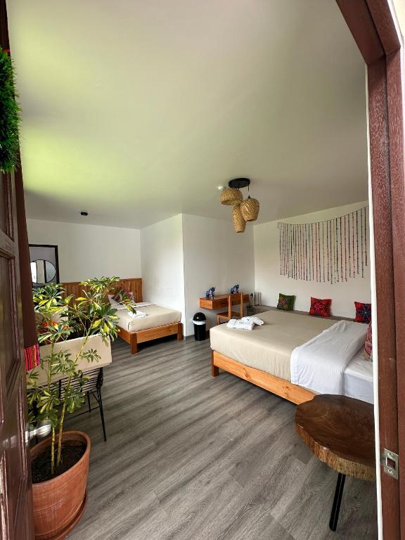 Letto o letti in una camera di Black Llama Hostel Cusco