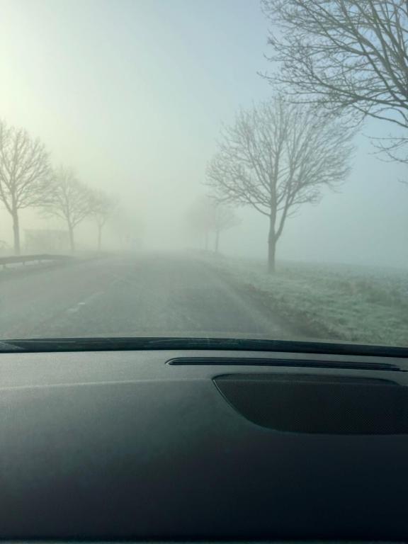 une vue sur une route brumeuse avec des arbres en arrière-plan dans l'établissement Maison Anzin st aubin, à Anzin-Saint-Aubin