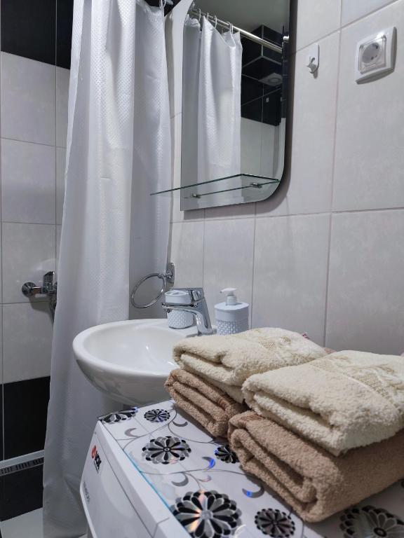 Koupelna v ubytování Apartman Tara 2