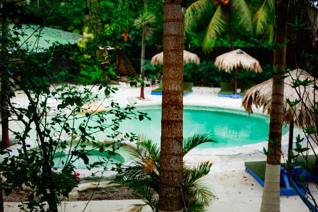 别霍港Alalunga Casas的一个带棕榈树和遮阳伞的游泳池