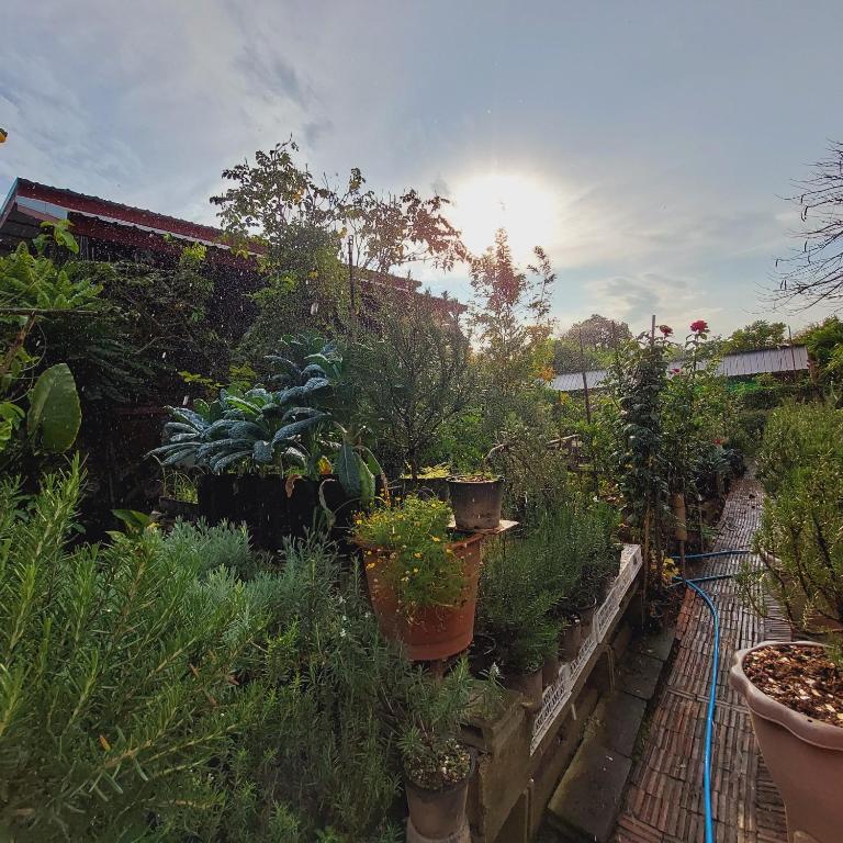 Zahrada ubytování Baan Baan Hostel
