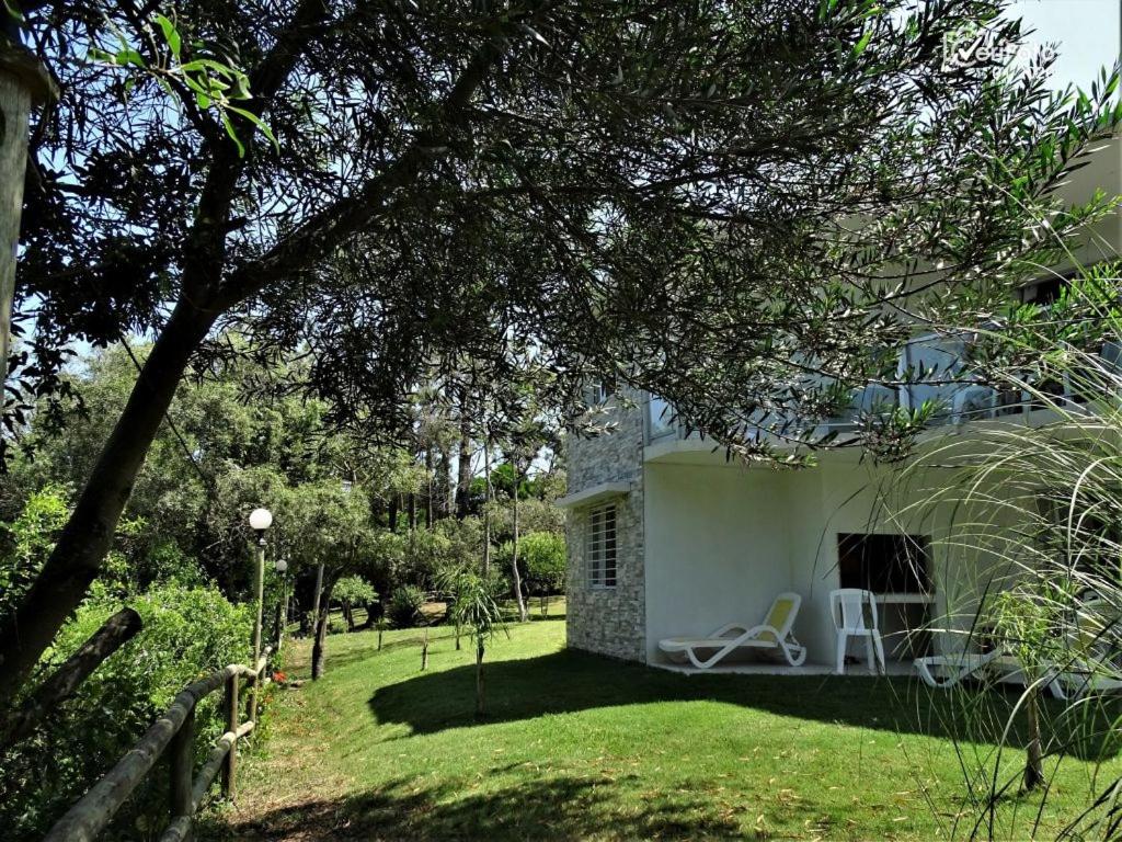 Zahrada ubytování Bungalows Punta Colorada